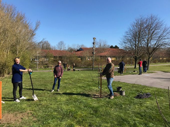 Store plantedag i Regnbuen 2020. Vi holder 2 meters afstand.